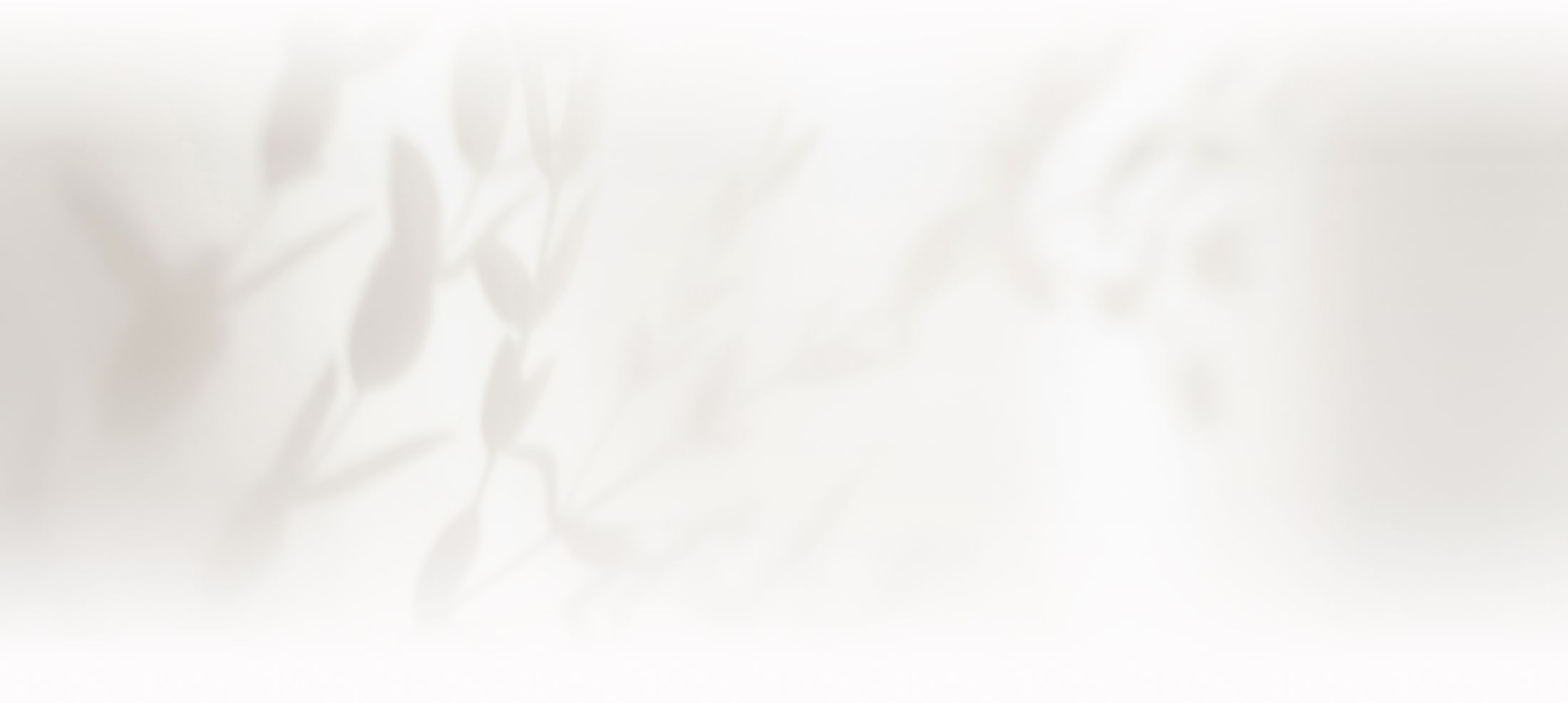 Soft shadows of leaves against a light background.