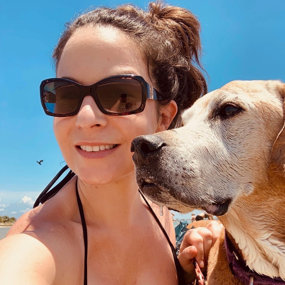 Woman with dog enjoying a beach day.