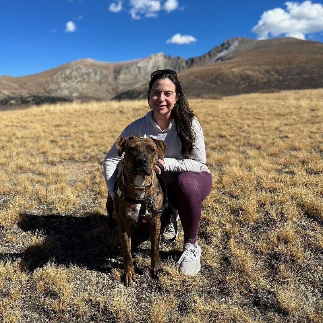 Person sitting with a dog surrounded by sunflowers.