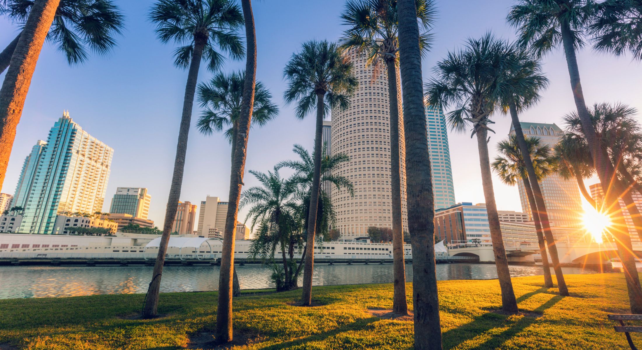 City skyline with palm trees at sunset.